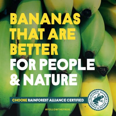 Bananas That Are Better For People & Nature