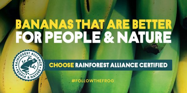 Bananas That Are Better For People and Nature digital graphic