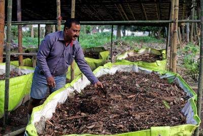 Proyecto de agricultura regenerativa