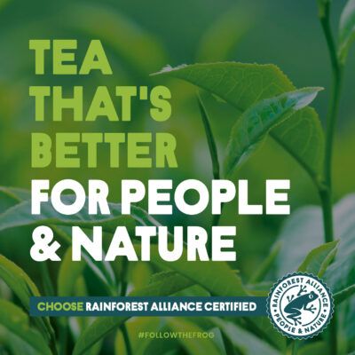 Tea That's Better For People & Nature