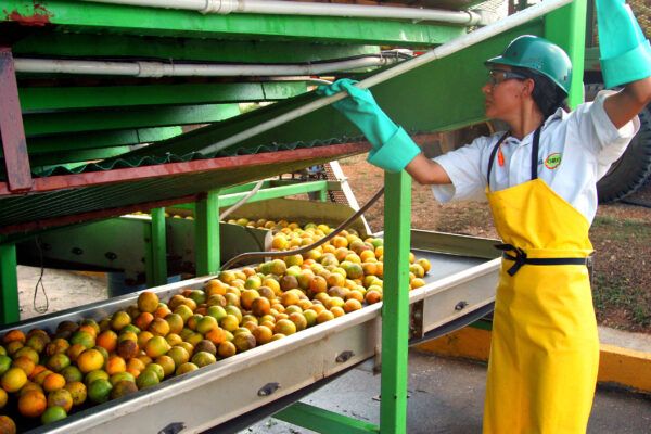 A worker standing in front of equipment in an orange factory in Costa Rica